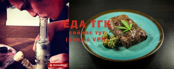 крисы Бородино