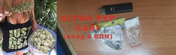 крисы Бородино