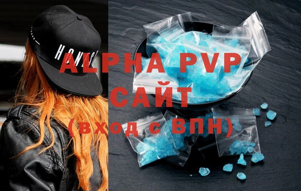 крисы Бородино