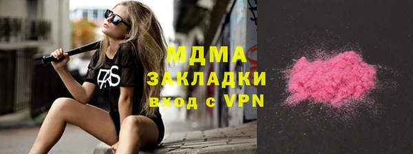 крисы Бородино