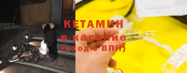 крисы Бородино