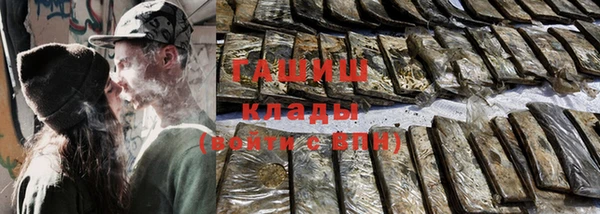 крисы Бородино