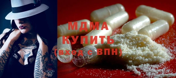 крисы Бородино