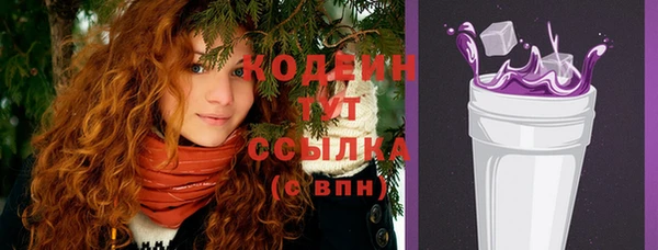 крисы Бородино