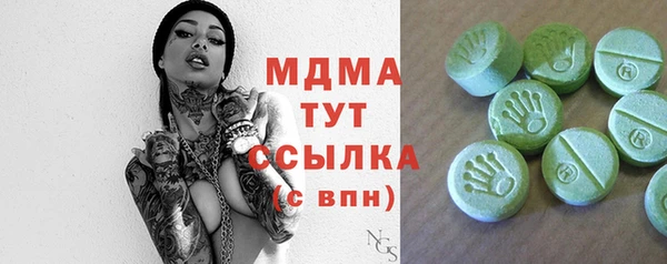 крисы Бородино