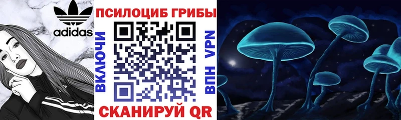 kraken ссылки  Симферополь  Псилоцибиновые грибы мицелий 